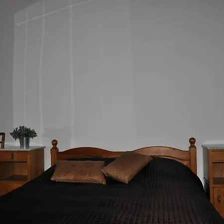 公寓 Apartament Andre 索波特